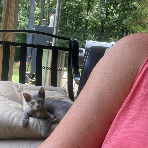 Meet your Posher, Amanda - Picture 4 of 8